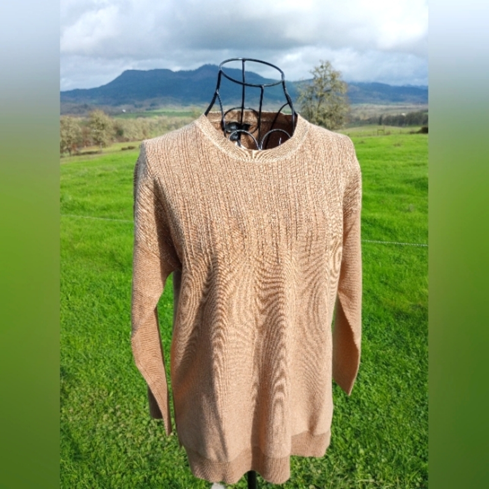 Alfani Sweater, Tan with Metallic Detail